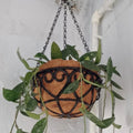 Round Iron Hanging Planter