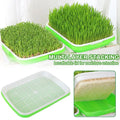 Hydroponic Microgreen Sprouting Tray