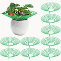 Strawberry Plant Supports
