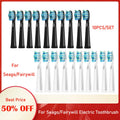Tooth brush Head For Seago-507B/908/909/917/610/659/719/910/575/551/548 Electric Toothbrush Deep Clean Dupont Bristle Brush Head