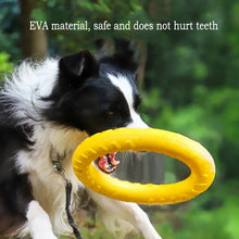 Durable EVA Dog Toy Set
