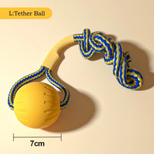 Durable EVA Dog Toy Set