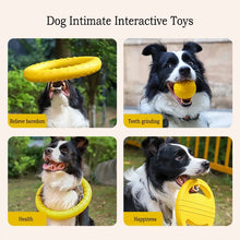 Durable EVA Dog Toy Set
