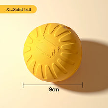 Durable EVA Dog Toy Set