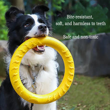 Durable EVA Dog Toy Set
