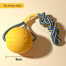 Durable EVA Dog Toy Set
