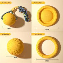 Durable EVA Dog Toy Set
