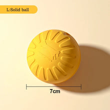 Durable EVA Dog Toy Set