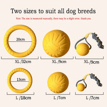 Durable EVA Dog Toy Set