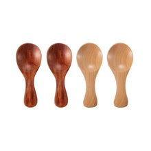 Mini Wooden Spice Spoons