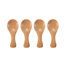 Mini Wooden Spice Spoons