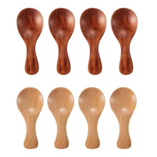 Mini Wooden Spice Spoons