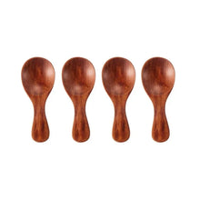 Mini Wooden Spice Spoons