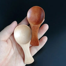 Mini Wooden Spice Spoons