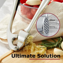 Stainless Steel Garlic Press