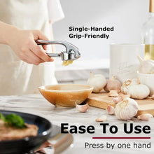 Stainless Steel Garlic Press