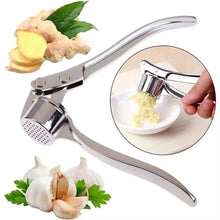 Stainless Steel Garlic Press