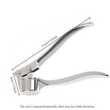 Stainless Steel Garlic Press