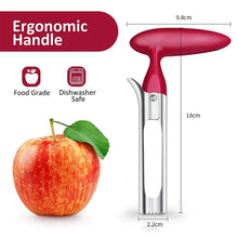 Stainless Steel Apple Corer