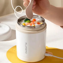 Portable Stainless Steel USB Lunch Warmer