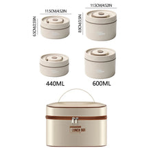 Insulated Stainless Steel Lunch Box