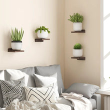 Floating Wall Display Shelves