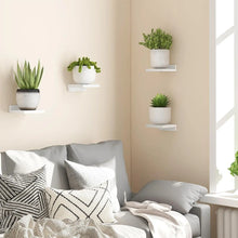 Floating Wall Display Shelves
