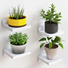 Floating Wall Display Shelves