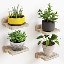 Floating Wall Display Shelves