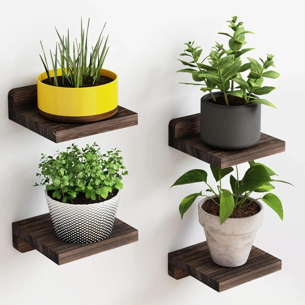 Floating Wall Display Shelves