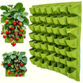 Vertical Wall-Mounted Herb Planter