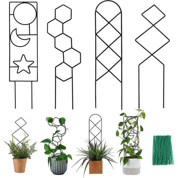 Iron Indoor Plant Trellis