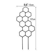 Iron Indoor Plant Trellis