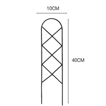 Iron Indoor Plant Trellis