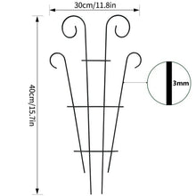 Iron Indoor Plant Trellis