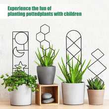 Iron Indoor Plant Trellis