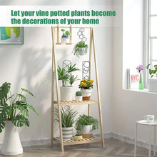 Iron Indoor Plant Trellis
