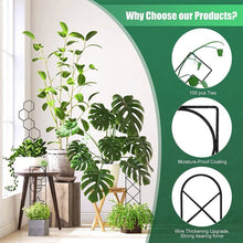 Iron Indoor Plant Trellis