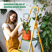 Iron Indoor Plant Trellis