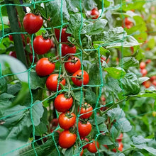 Heavy Duty Polyester Garden Trellis Netting