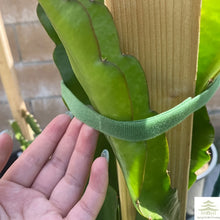 Reusable Nylon Plant Ties