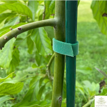 Reusable Nylon Plant Ties