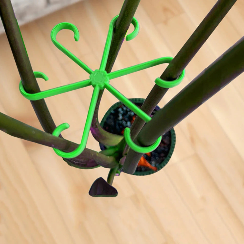 Indoor Plant Vine Trellis