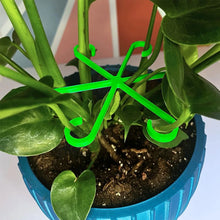Indoor Plant Vine Trellis