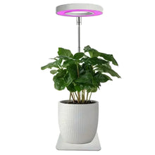 Telescopic Full-Spectrum Grow Lamp