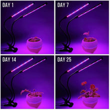 USB Full Spectrum LED Plant Grow Light