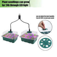 Seedling Starter Tray with Grow Light