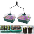 Seedling Starter Tray with Grow Light