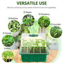 Seedling Starter Tray with Grow Light