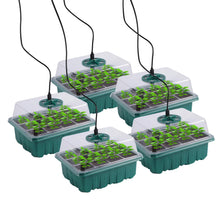 Seedling Starter Tray with Grow Light